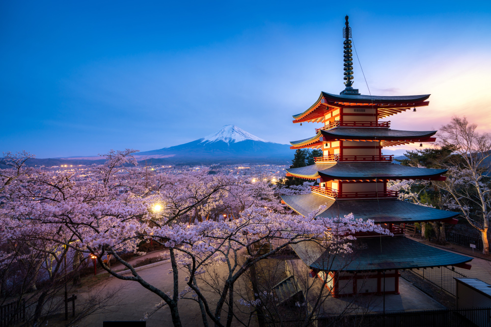 Image hover effect image
